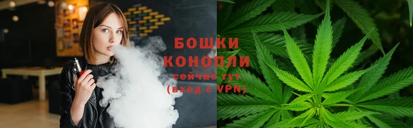 винт Нея