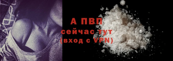 PSILOCYBIN Нефтекумск