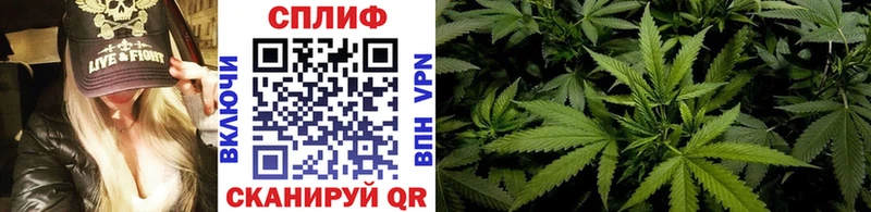 наркотики  Починок  Канабис OG Kush 